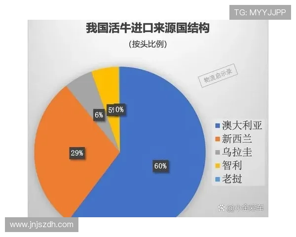 独家解析LNG团队协作模式的优势与挑战对比分析 独家解析LNG团队协作模式的优势与挑战对比分析