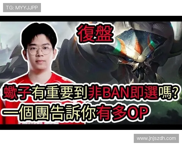 赛后复盘：深入剖析WE与RNG对决中的战术与策略经验分享